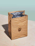 Paper Bag Lunch Cooler-2