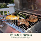 Table top Propane Grill 20,000 BTU Portable Stainless Steel